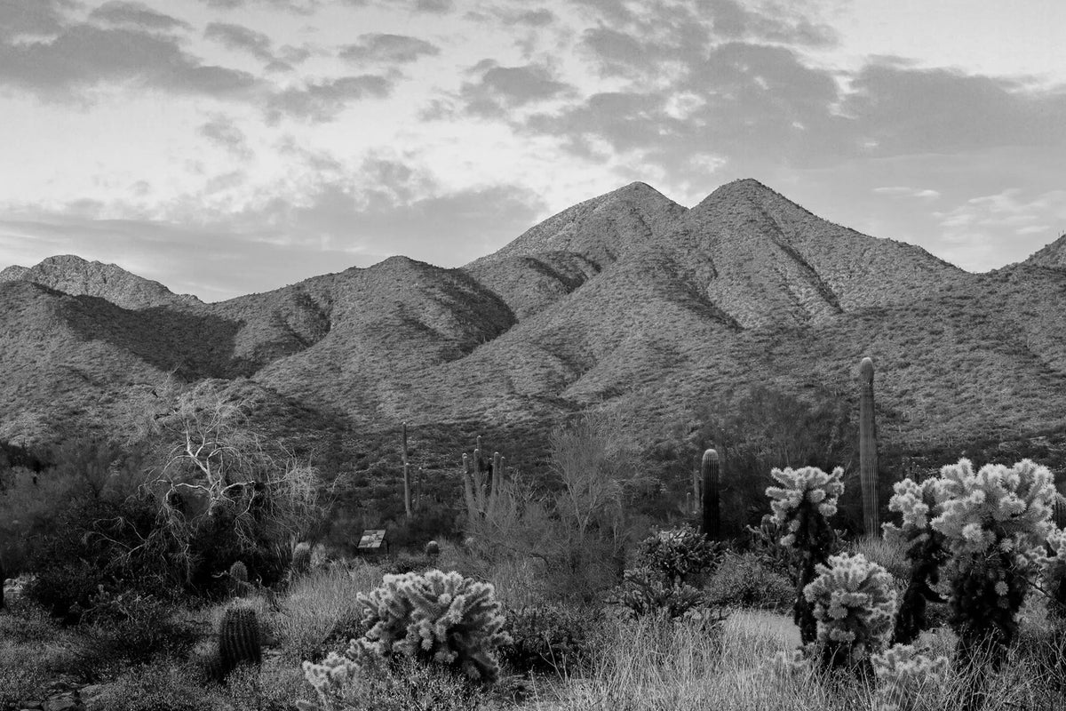 Best Places to Visit in Scottsdale