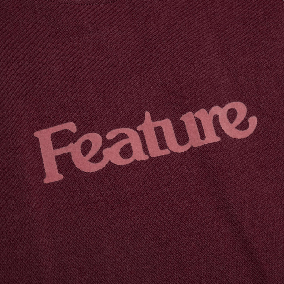 Feature