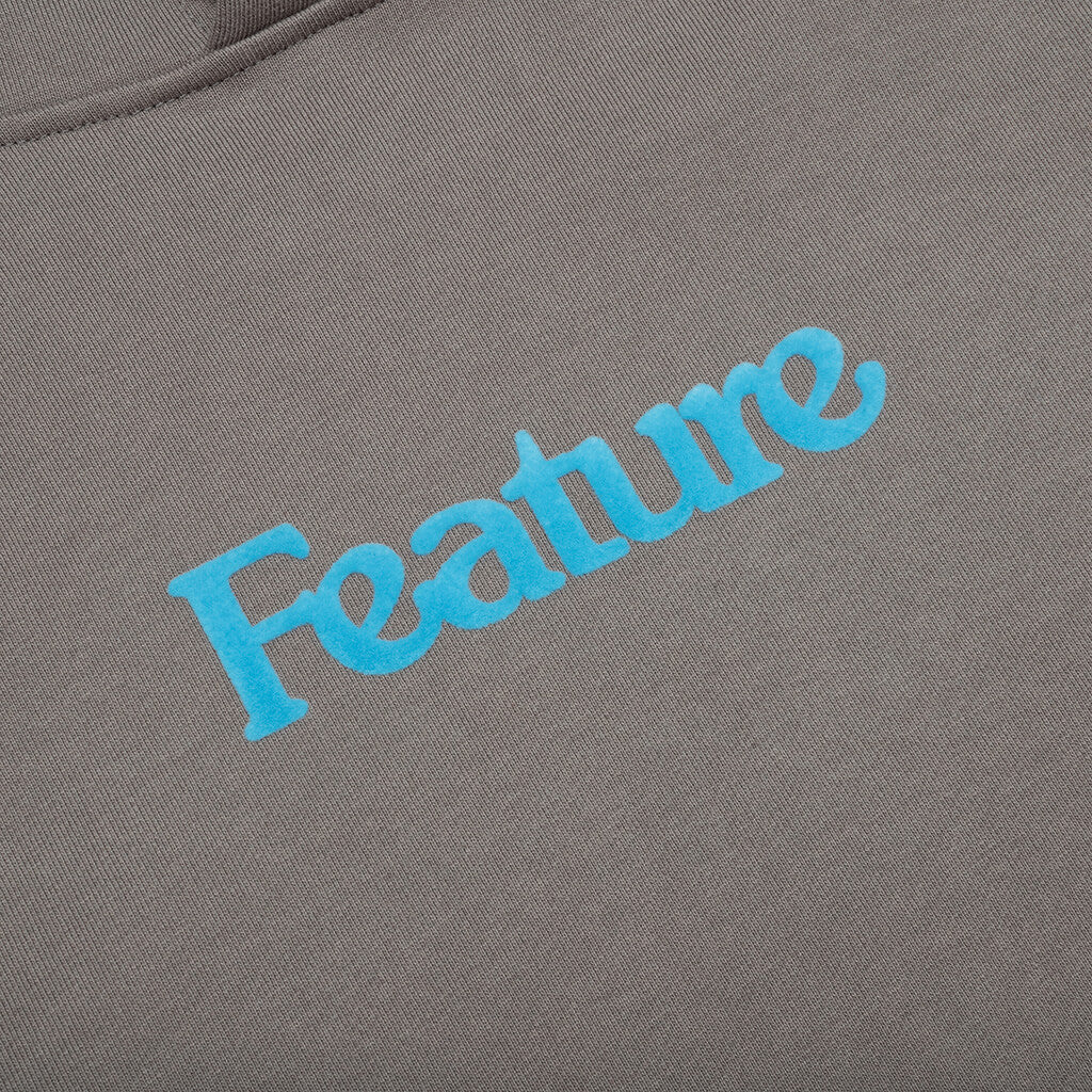 Feature