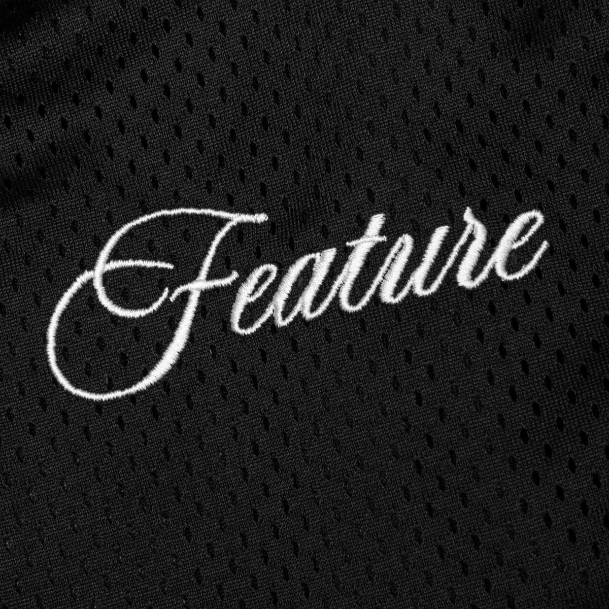 Feature