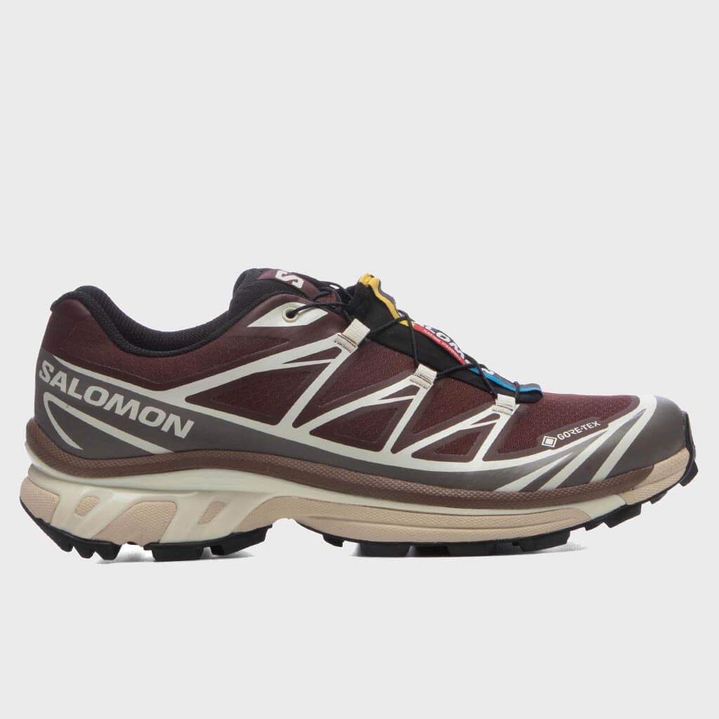 XT-6 GTX - Bchoco/Iron/Vanila