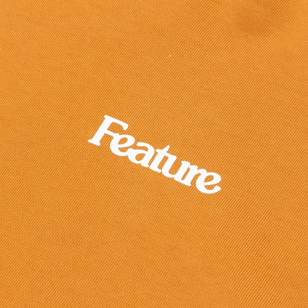 Feature